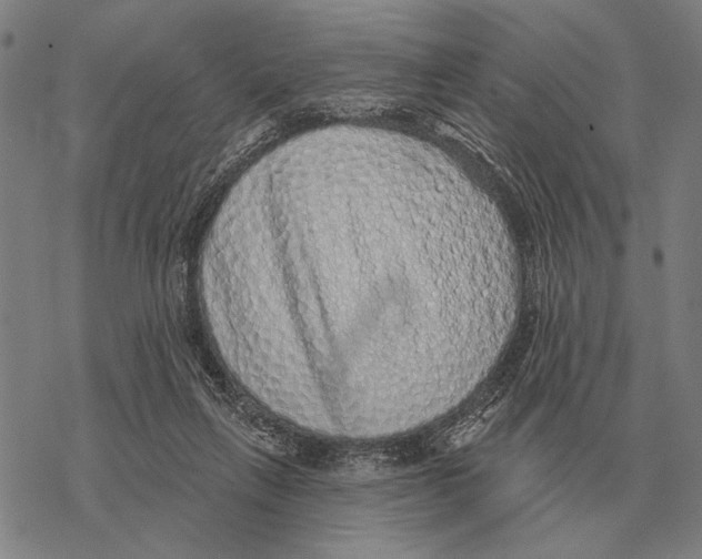 X0000068270263200605191835