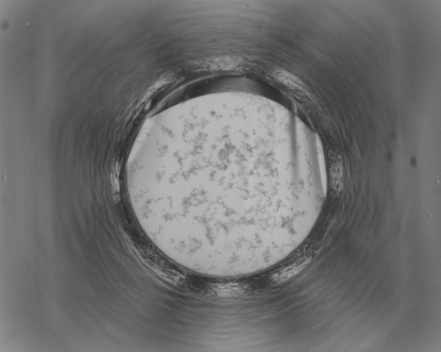 X0000068270264200605191835