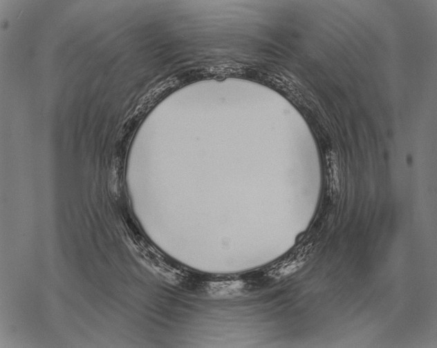 X0000068270266200605191835