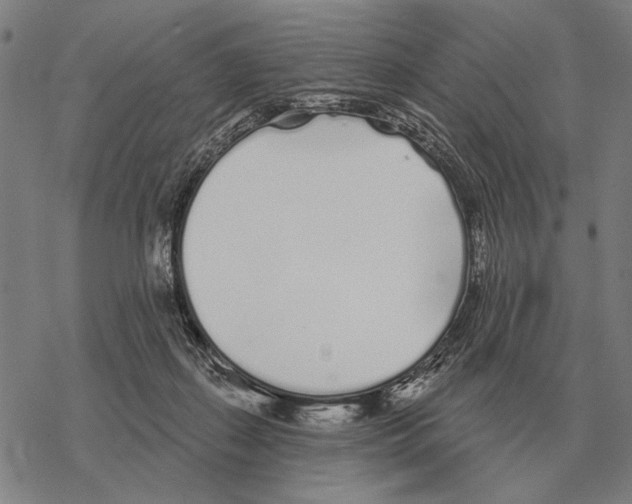 X0000068270267200605191835