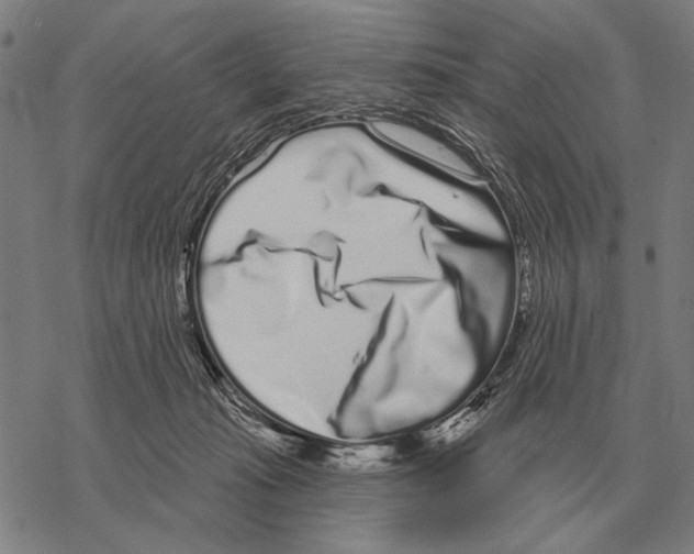 X0000068270269200605191835