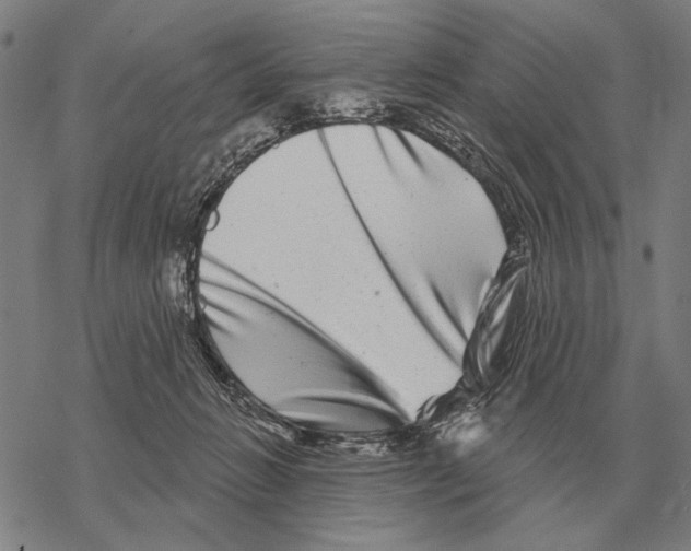 X0000068270270200605191835