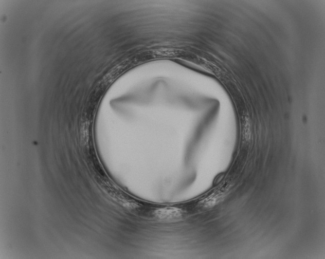 X0000068270271200605191835