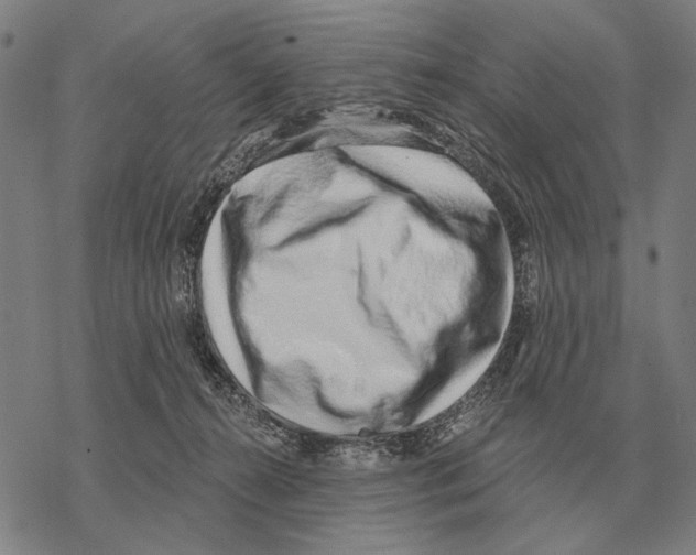 X0000068270272200605191835