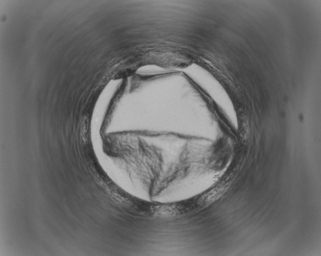 X0000068270273200605191835