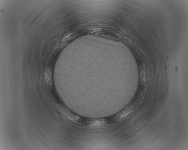 X0000068270274200605191835