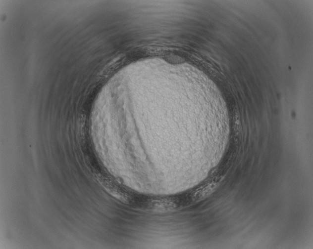 X0000068270275200605191835