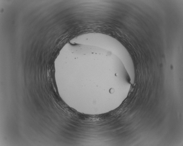 X0000068270276200605191835