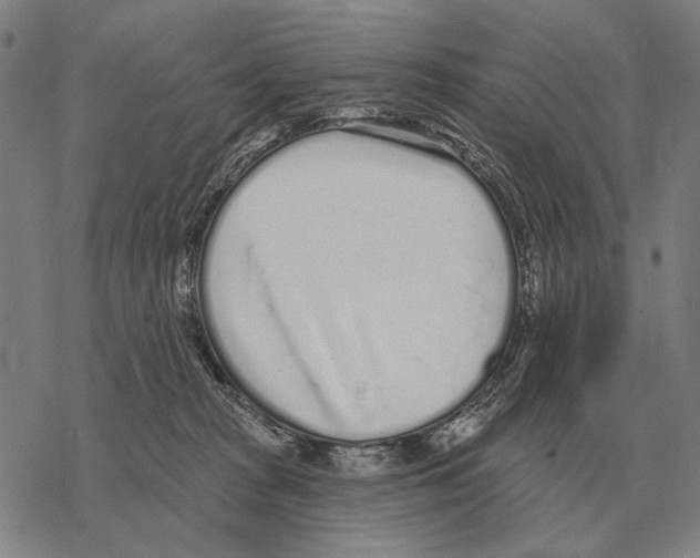 X0000068270277200605191835