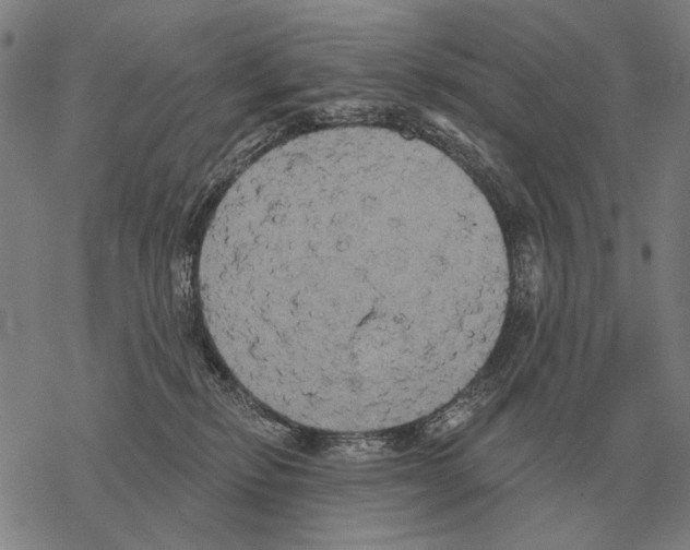 X0000068270278200605191835