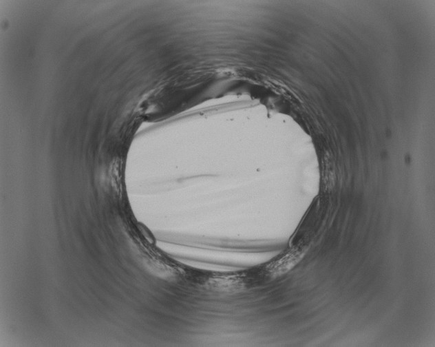 X0000068270280200605191835