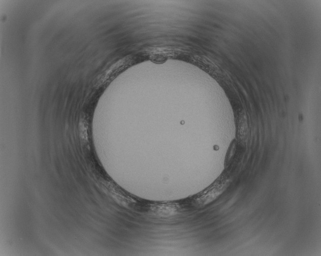 X0000068270282200605191835