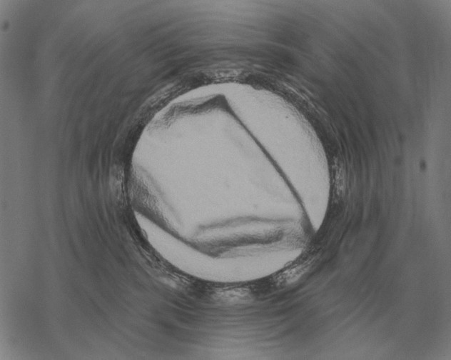 X0000068270283200605191835