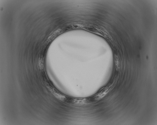 X0000068270285200605191835