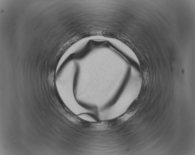 X0000068270286200605191835