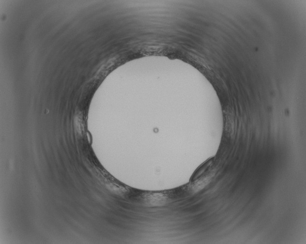 X0000068270287200605191835