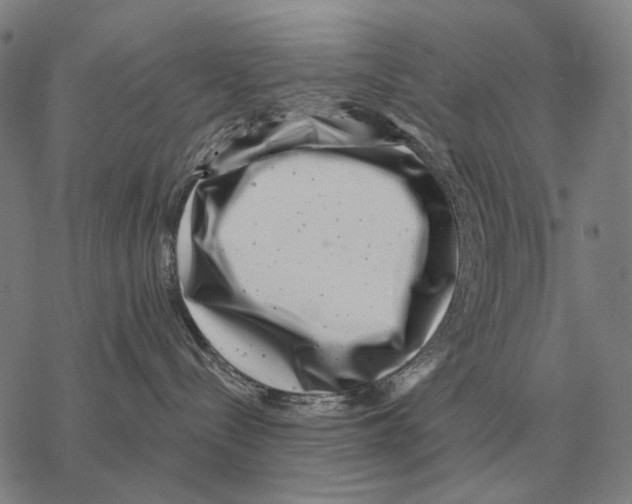 X0000068270288200605191835