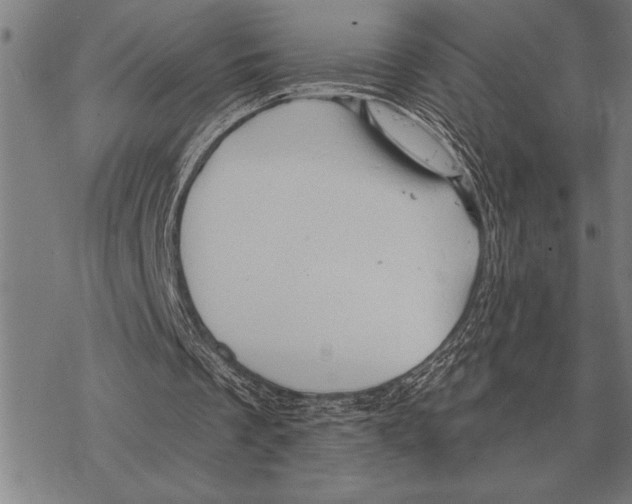 X0000068270289200605191835