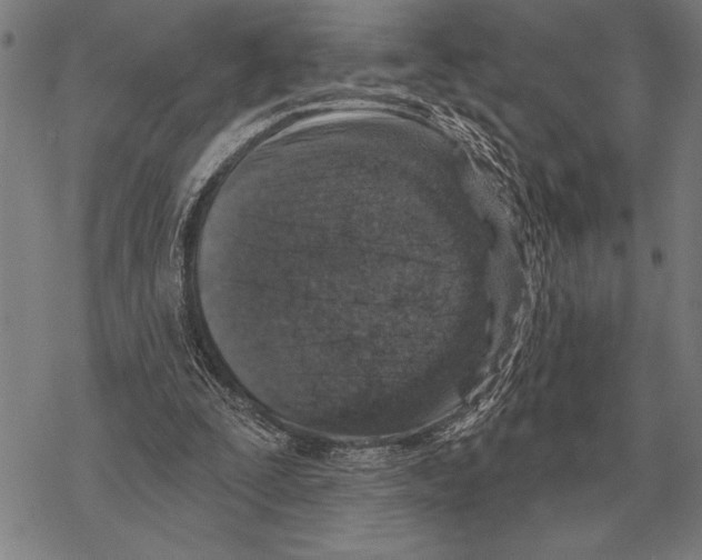 X0000068270295200605191835