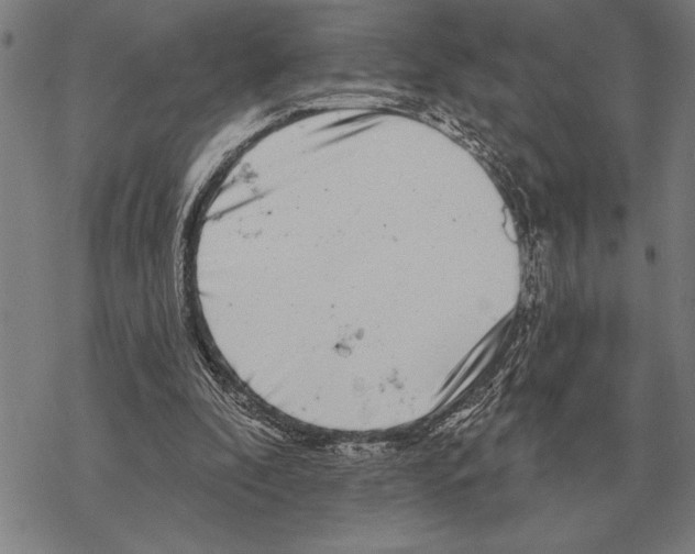 X0000068270296200605191835