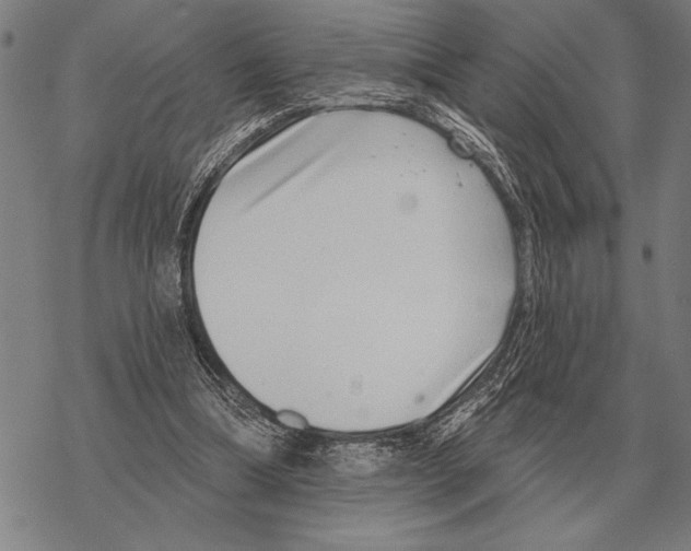 X0000068270298200605191834