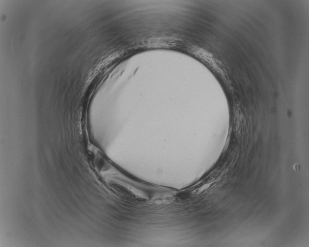 X0000068270299200605191834