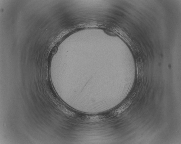 X0000068270301200605191834