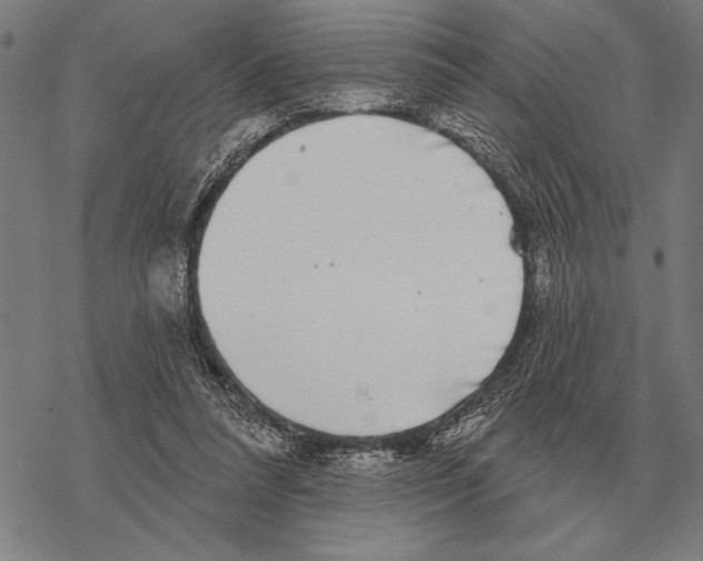 X0000068270304200605191834