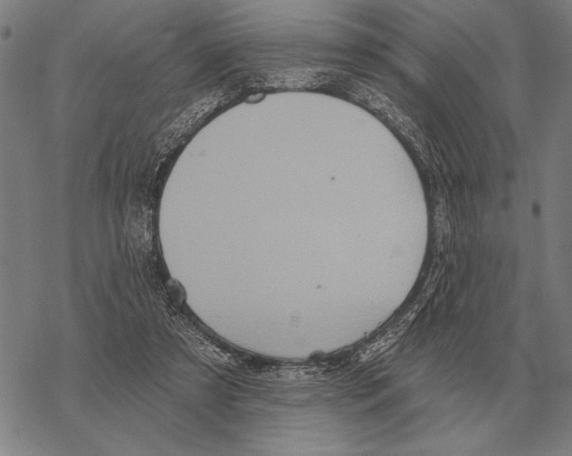 X0000068270305200605191834