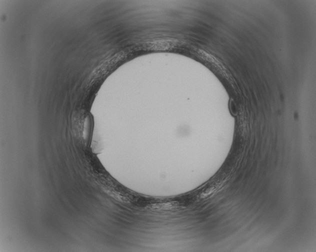 X0000068270307200605191834