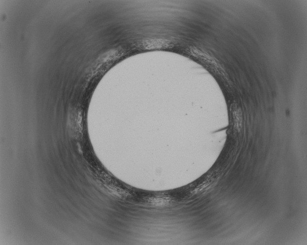 X0000068270308200605191834