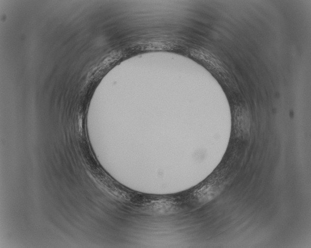 X0000068270310200605191834