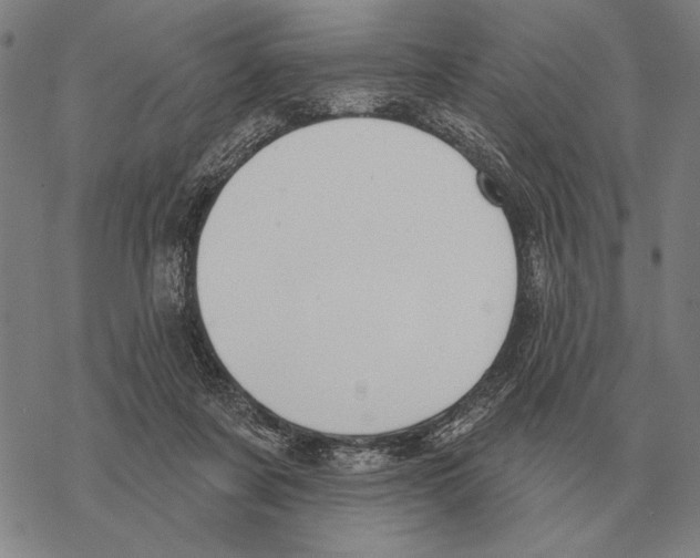 X0000068270311200605191834