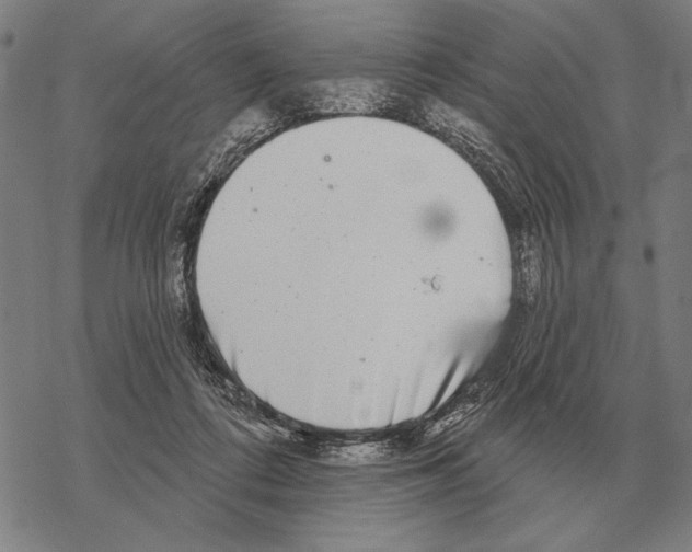 X0000068270312200605191834