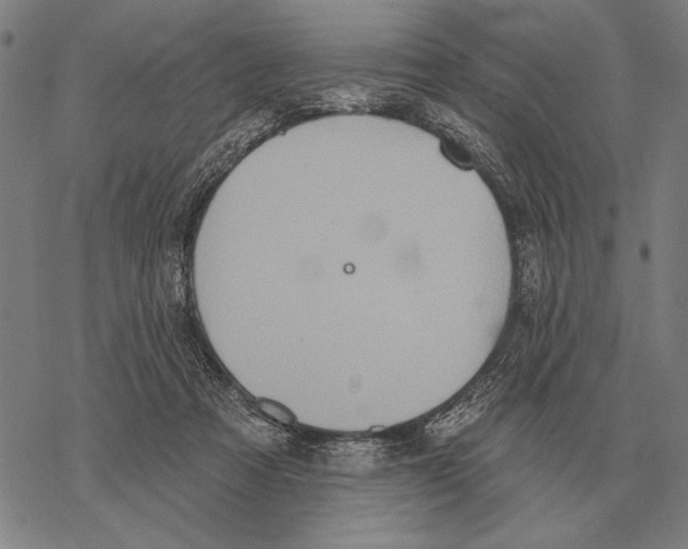 X0000068270313200605191834