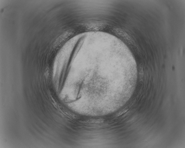 X0000068270314200605191834