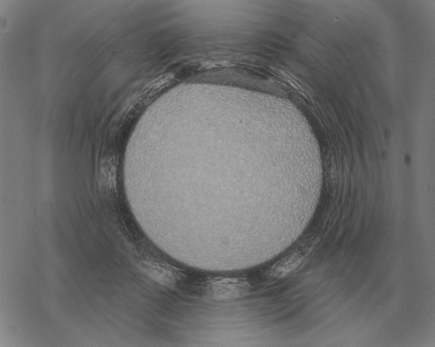 X0000068270315200605191834