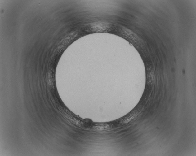 X0000068270317200605191834