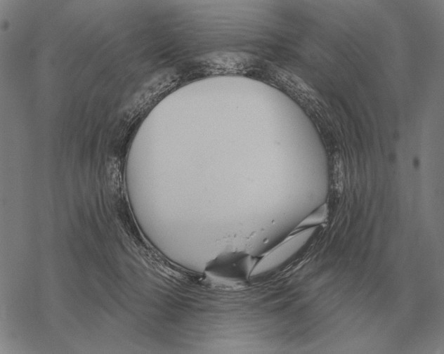 X0000068270318200605191834