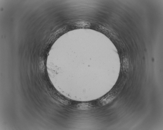 X0000068270320200605191834