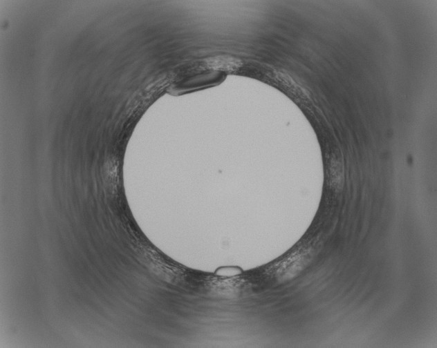 X0000068270321200605191834