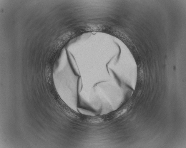 X0000068270322200605191834