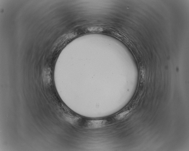 X0000068270323200605191834