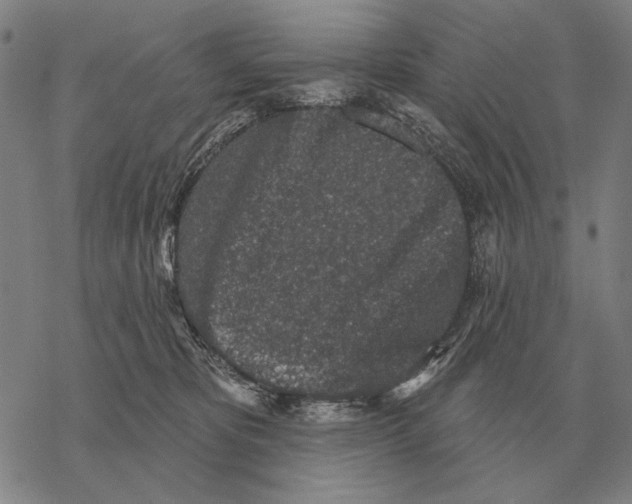 X0000068270325200605191834