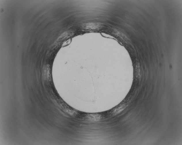 X0000068270328200605191834