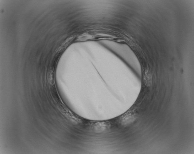 X0000068270330200605191834