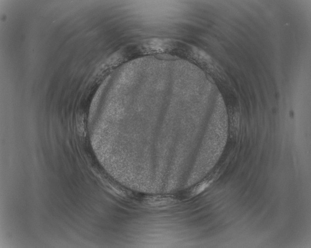 X0000068270331200605191834