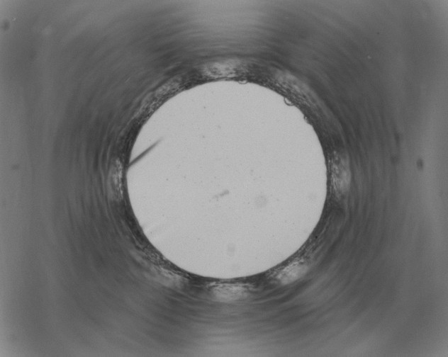 X0000068270332200605191834