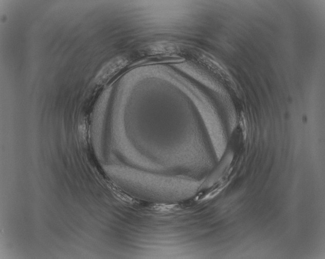 X0000068270333200605191834