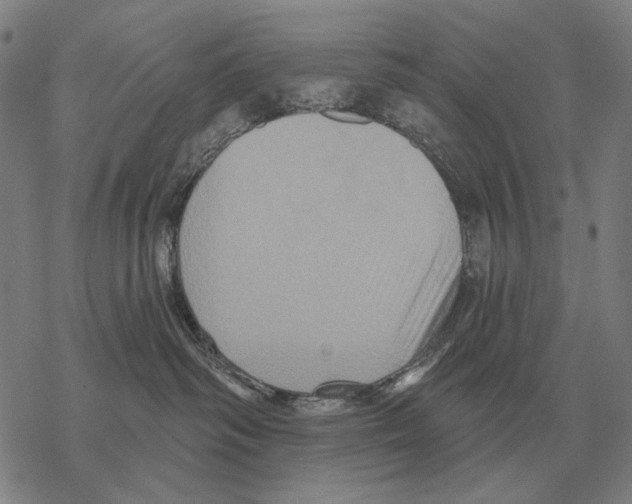 X0000068270334200605191834